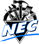 Nec Elektronik